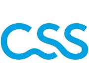 Logo CSS